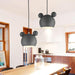 Teddy Pendant Lights N READY.