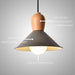 Retro Design Modern Colored Ceiling Light N READY.