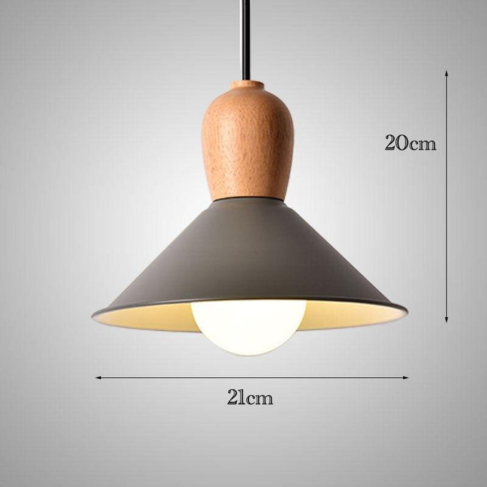 Retro Design Modern Colored Ceiling Light N READY.