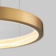 Modern Style Smooth Circle Chandelier-DWHOME