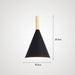 Modern Style Color Cone Ceiling Light.