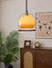 Halcyon Arch Pendant Light-DWHOME