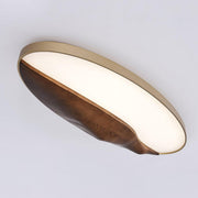 Half-Mountain Ceiling Lamp-DWHOME
