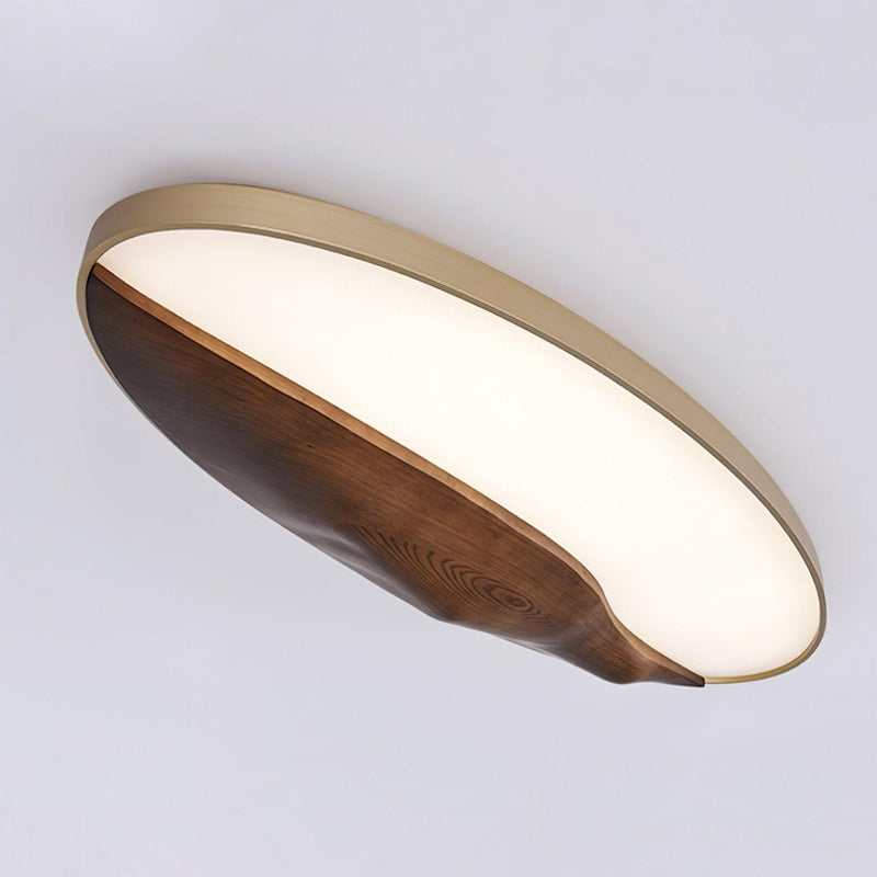Half-Mountain Ceiling Lamp-DWHOME