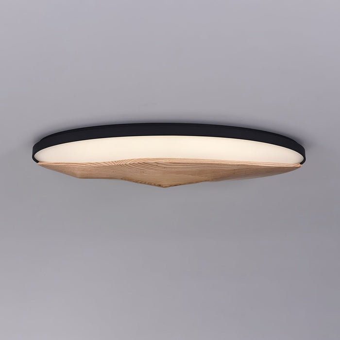 Half-Mountain Ceiling Lamp.