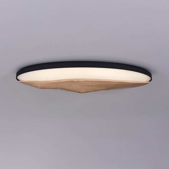 Half-Mountain Ceiling Lamp - DWHOME