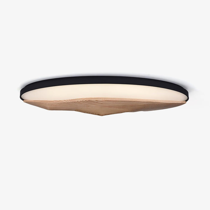 Half-Mountain Ceiling Lamp - DWHOME