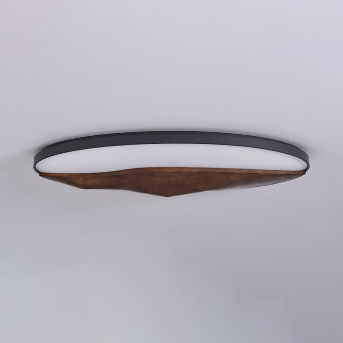 Half-Mountain Ceiling Lamp - DWHOME