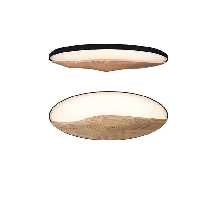 Half-Mountain Ceiling Lamp - DWHOME