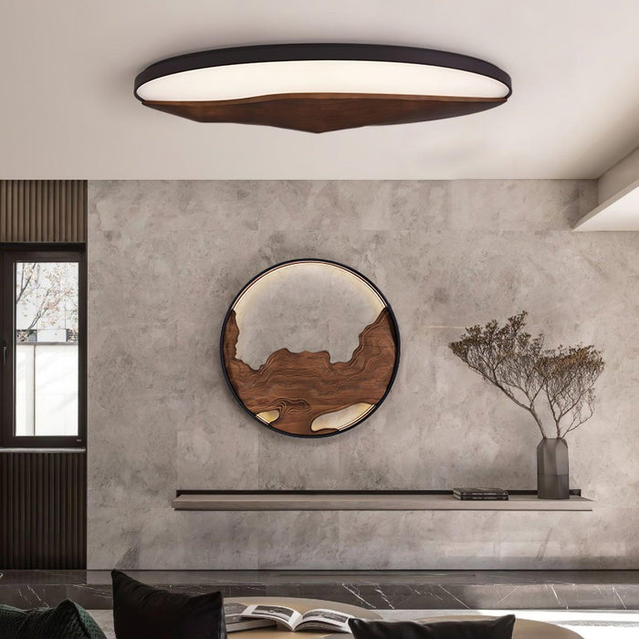 Half-Mountain Ceiling Lamp - DWHOME