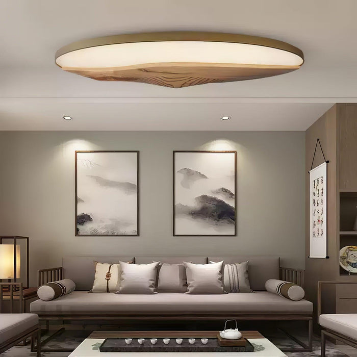 Half-Mountain Ceiling Lamp - DWHOME