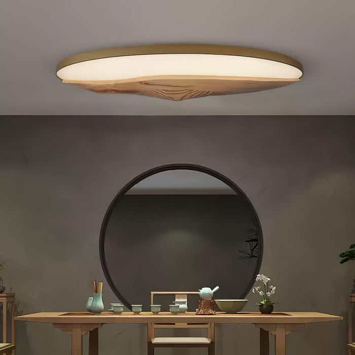 Half-Mountain Ceiling Lamp - DWHOME