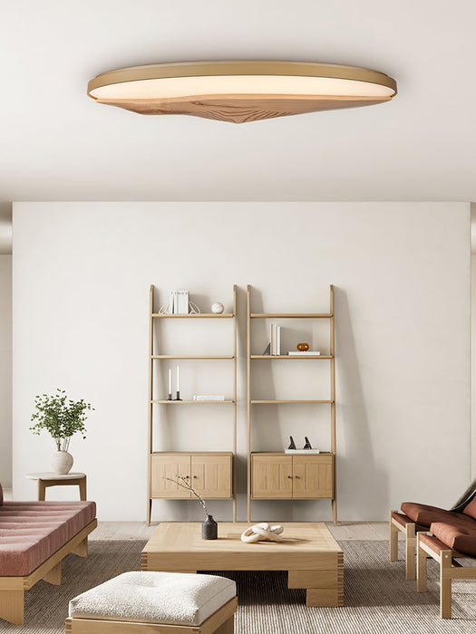 Half-Mountain Ceiling Lamp.