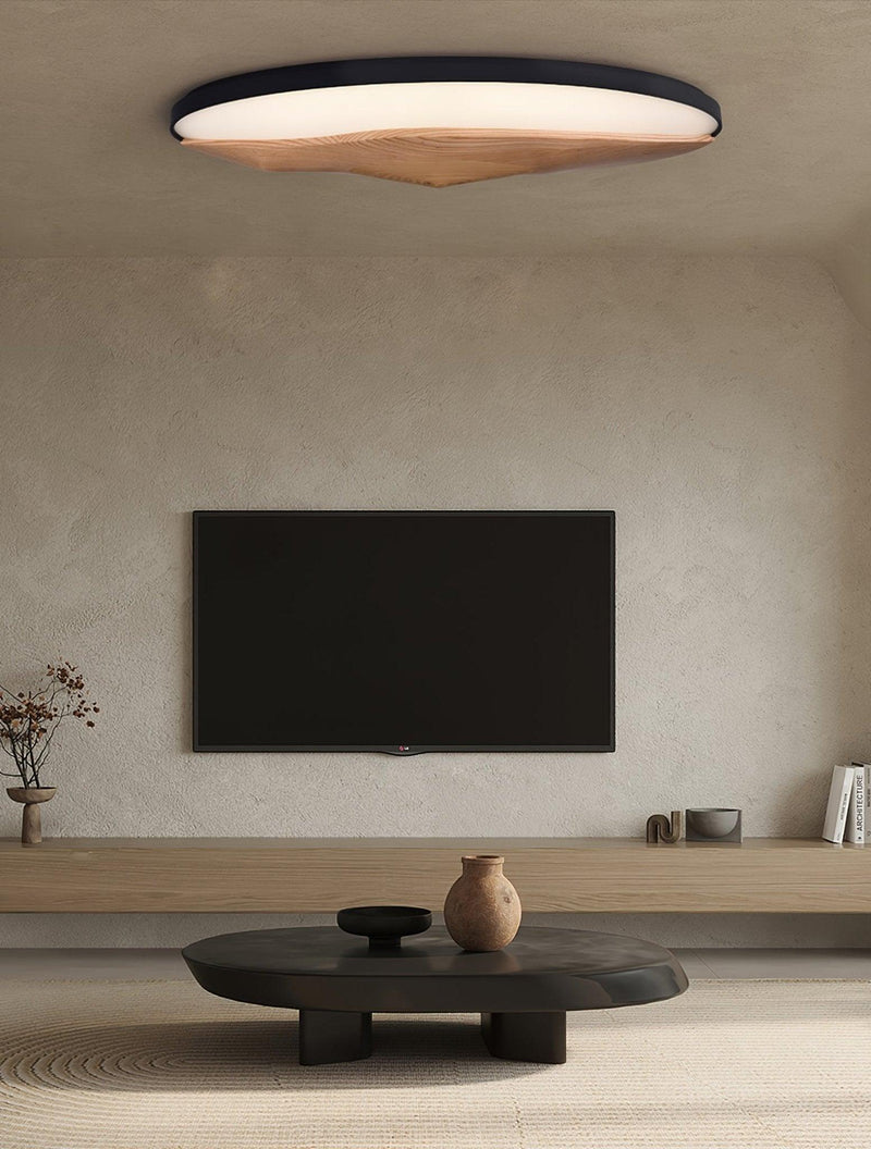 Half-Mountain Ceiling Lamp-DWHOME
