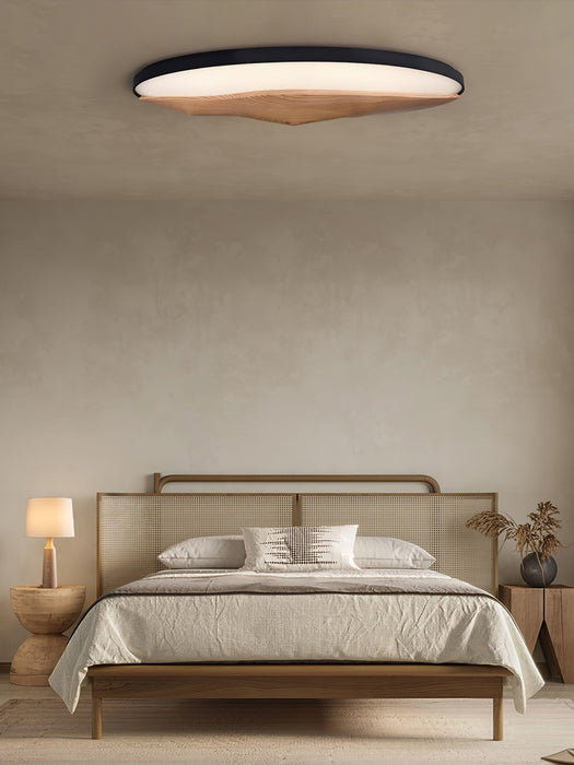 Half-Mountain Ceiling Lamp - DWHOME