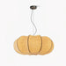 Oblate Silk Pendant Lamp-DWHOME