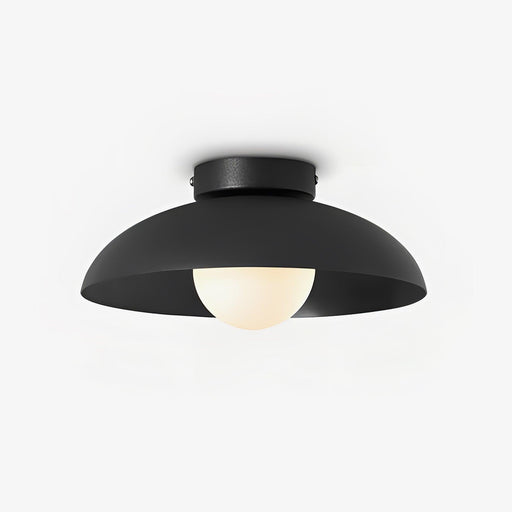 Harper Glass Dome Ceiling Lamp-DWHOME