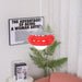 Harvey Pendant Lamp-DWHOME