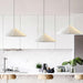 Hat Resin Pendant Lamp-DWHOME