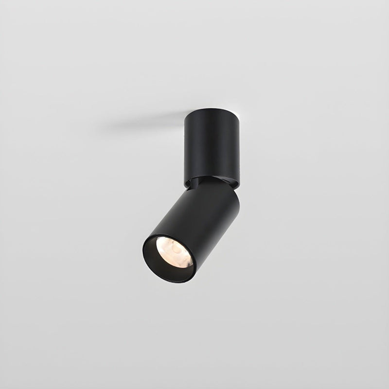 Julian Adjustable Surface Downlight-DWHOME