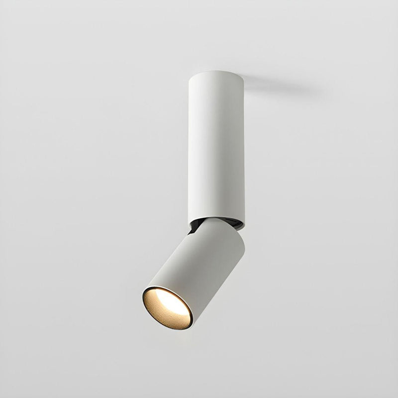 Julian Adjustable Surface Downlight-DWHOME