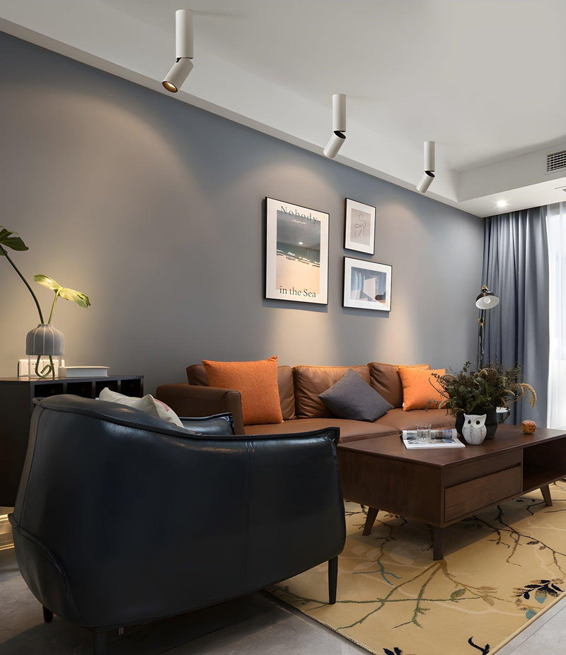 Julian Adjustable Surface Downlight-DWHOME