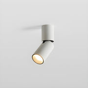 Julian Adjustable Surface Downlight-DWHOME