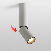 Julian Adjustable Surface Downlight-DWHOME