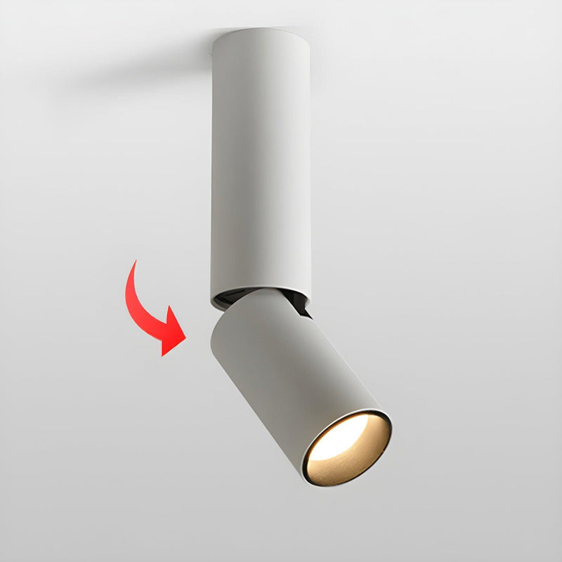 Julian Adjustable Surface Downlight-DWHOME
