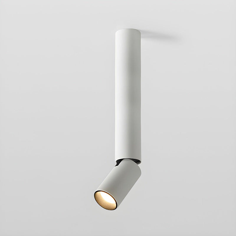 Julian Adjustable Surface Downlight-DWHOME