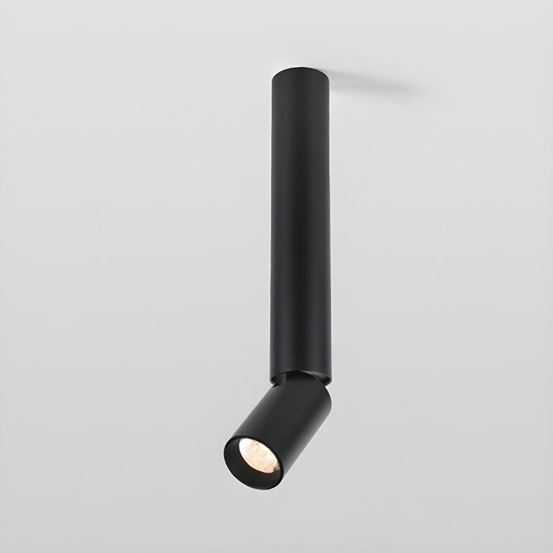 Julian Adjustable Surface Downlight-DWHOME