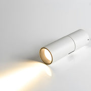 Julian Adjustable Surface Downlight-DWHOME
