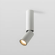 Julian Adjustable Surface Downlight-DWHOME