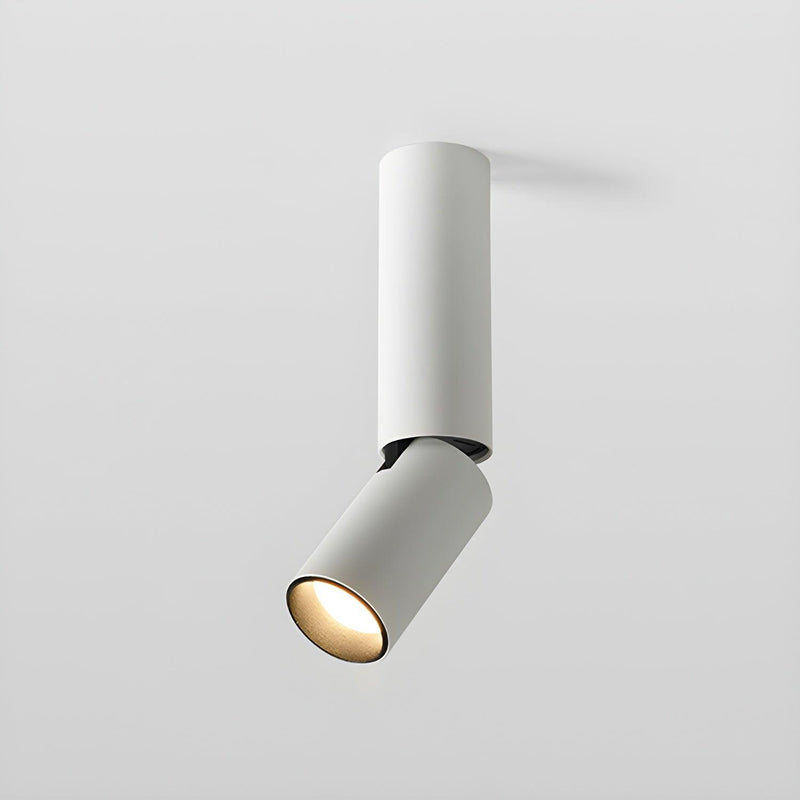 Julian Adjustable Surface Downlight-DWHOME