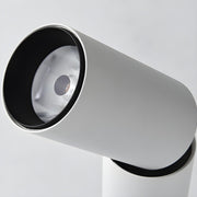 Julian Adjustable Surface Downlight-DWHOME