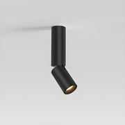 Julian Adjustable Surface Downlight-DWHOME