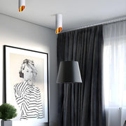 Hazel Tube Surface Downlight-DWHOME