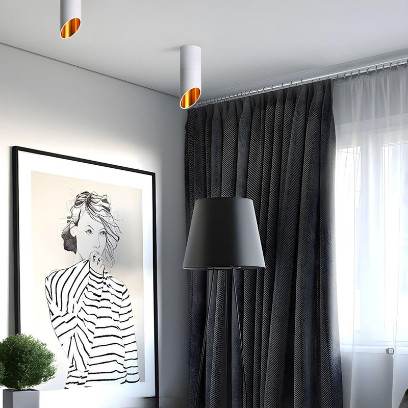 Hazel Tube Surface Downlight-DWHOME