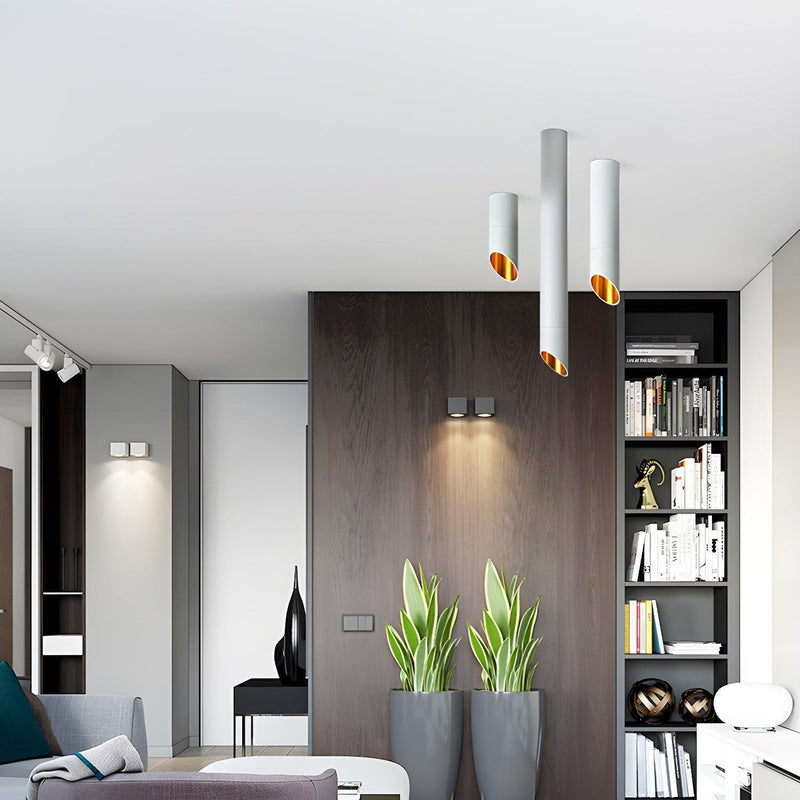 Hazel Tube Surface Downlight-DWHOME