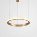 Modern Style Smooth Circle Chandelier - DWHOME