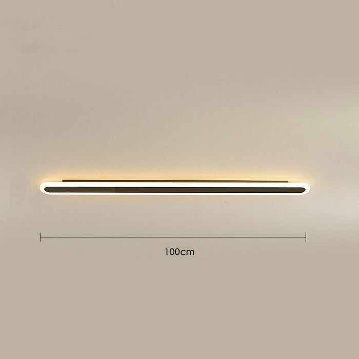 Long Elliptical Wall Light.