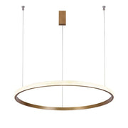 Modern Style Smooth Circle Chandelier-DWHOME