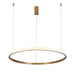 Modern Style Smooth Circle Chandelier - DWHOME