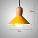 Retro Design Modern Colored Ceiling Light N READY.