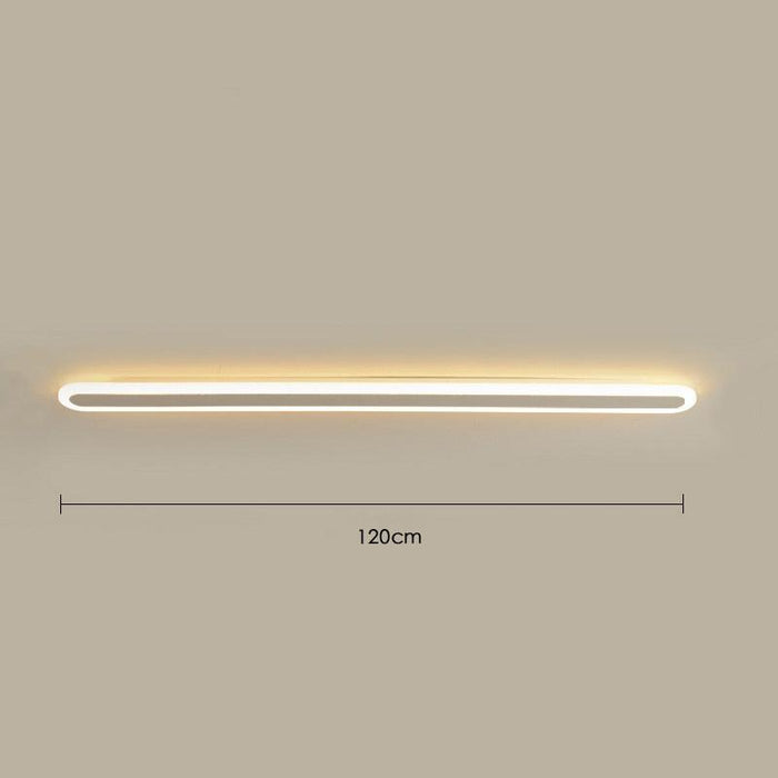 Long Elliptical Wall Light.