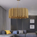 Modern Style Stainless Steel LED Chandelier.