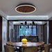 Heartwood Ceiling Lamp.