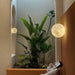 Moon 3D Wall Lamp-DWHOME