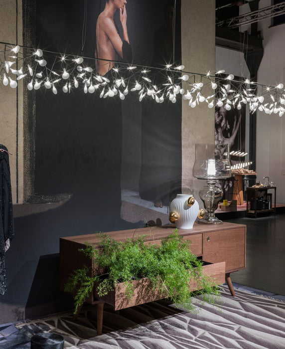 Heracleum Chandelier-DWHOME