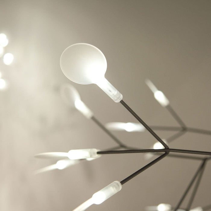 Heracleum Chandelier-DWHOME
